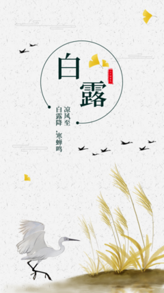 簡約傳統(tǒng)節(jié)氣白露海報(bào)在線制作軟件_好用的在線設(shè)計(jì)工具-易圖www.egpic.cn